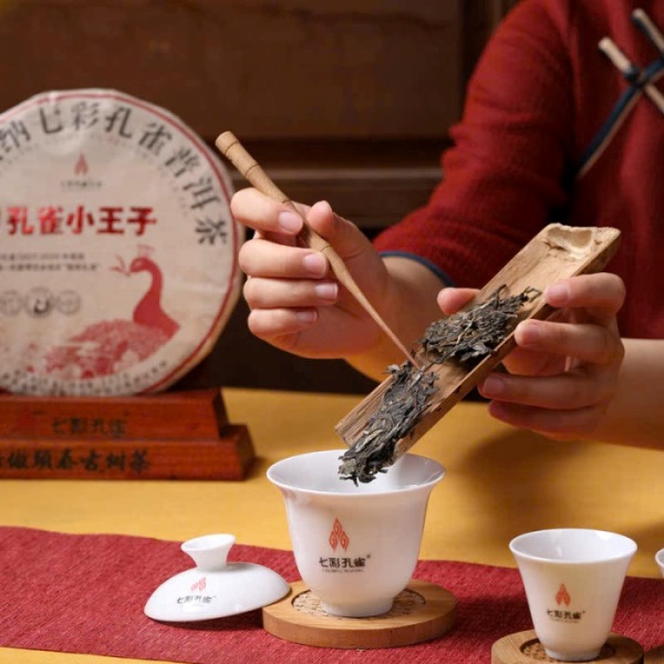 Tra Pho Nhi Song That Thai Khong Tuoc 2024 PNS02 (3)