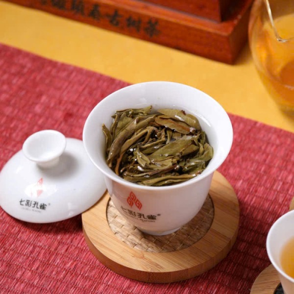 Tra Pho Nhi Song That Thai Khong Tuoc 2024 PNS02 (4)