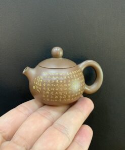 ấm trà nê hưng hoả biến tây thi khắc bát nhã kinh siêu nhỏ 40ml pha trà độc ẩm