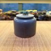 Hu Tu Sa Ne Hung Hoa Bien Xanh 600ml HT46