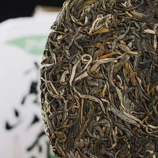 Pho Nhi Song Co Thu Nui Di Vo PNS10 (3)