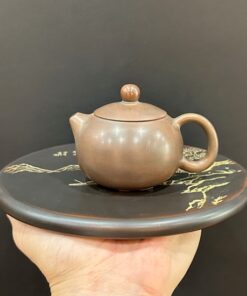 Ấm tử sa nê hưng tây thi cỡ nhỏ pha một người uống hỏa biến nâu 100ml độc ẩm.