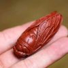 Tuong Tu Sa Ve Sau Dai Hong Bao- Tu Ne TS23