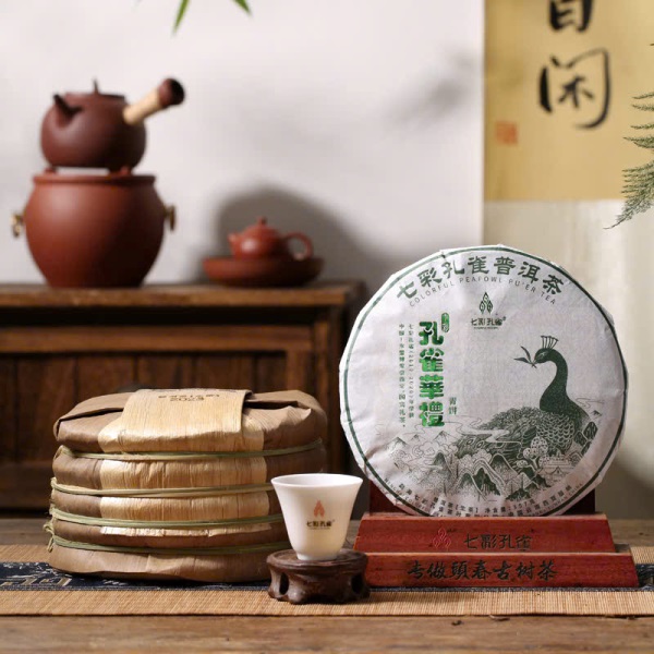 Tra pho nhi song that thai khong tuoc phuong hoang xanh 2023 PNS03 (2)