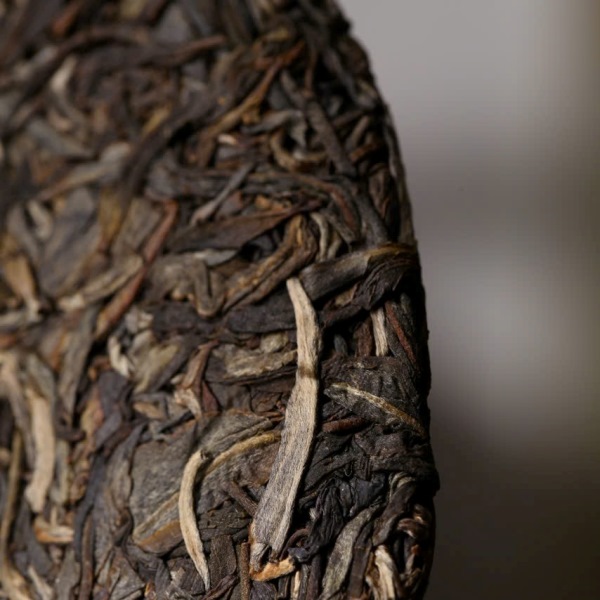 Tra pho nhi song that thai khong tuoc phuong hoang xanh 2023 PNS03 (3)