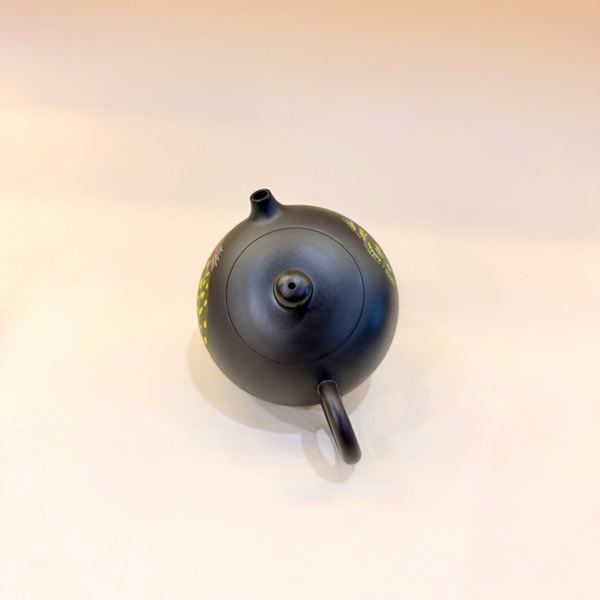 Ấm pha trà cao cấp nê hưng thủ công dáng tây thi long vũ đẹp 180ml AKC283 - Ảnh 3