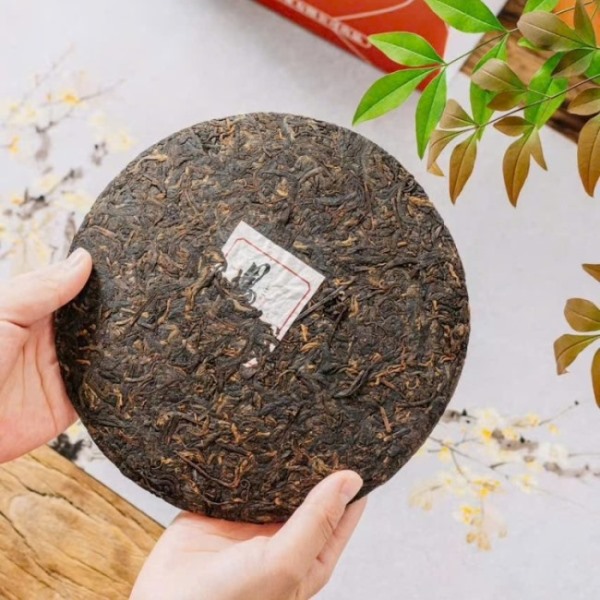 Trà phổ nhĩ chín Dị Võ Đại Sơn 357g PNC15 - Ảnh 3