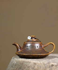 Ấm tử sa hư biến hoàng kim long Atsm01