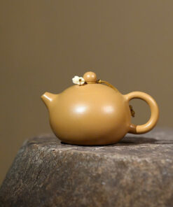 Ấm Tử Sa Tây Thi Đoàn Nê Trơn 120ml ATSM29