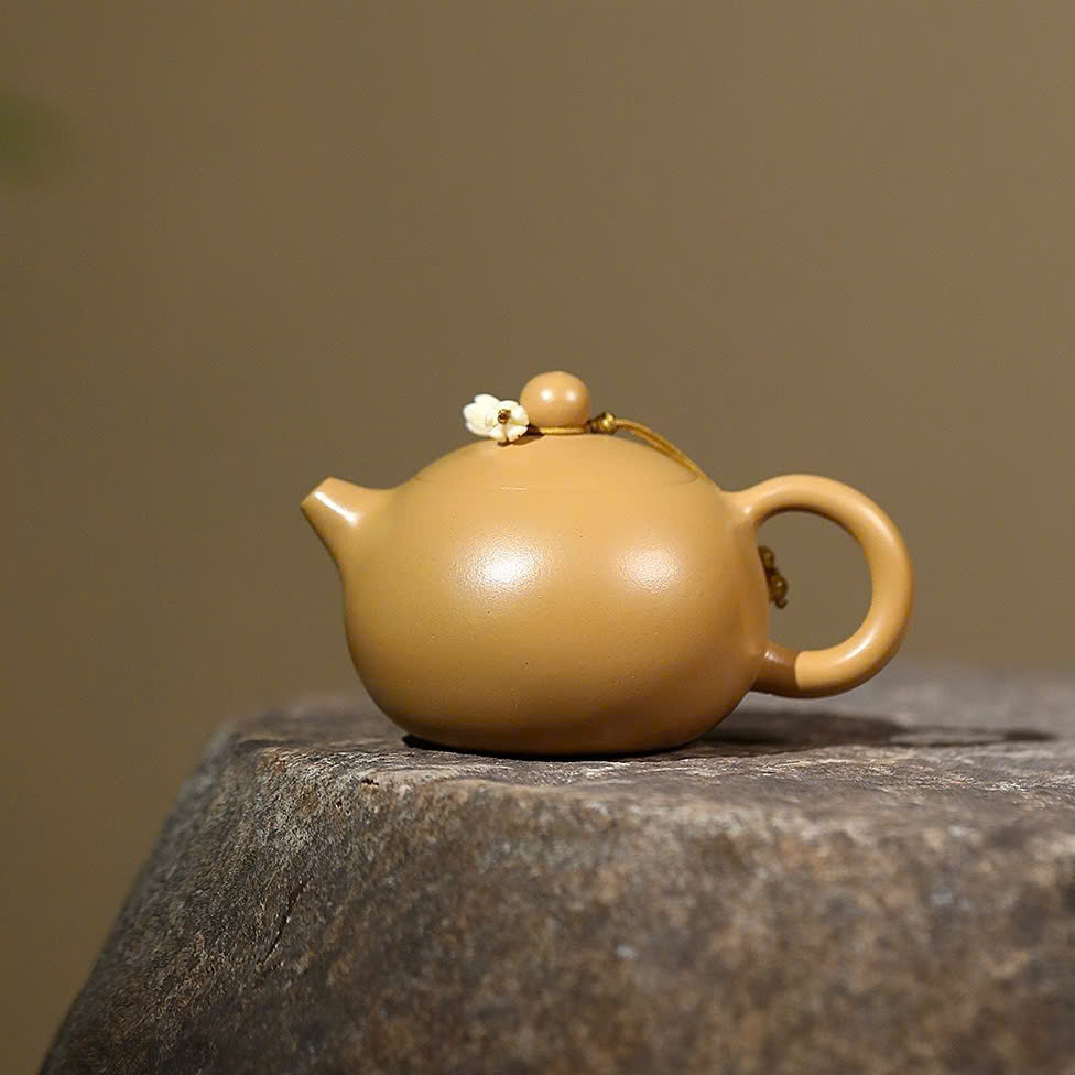 Ấm Tử Sa Tây Thi Đoàn Nê Trơn 120ml ATSM29