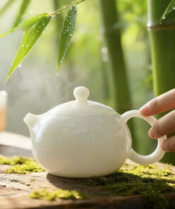 Ấm Trà Sứ Men Ngọc Dáng Tây Thi Cỡ To 220ml AS95