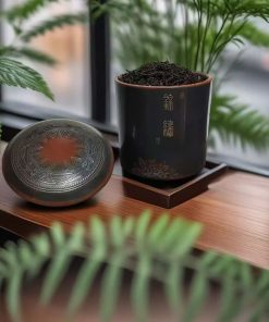 Hũ trà tử sa Nê Hưng Trống Đồng Hỏa Biến HT120
